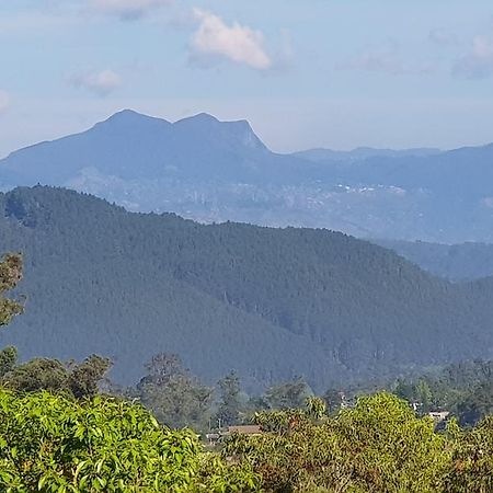 Hotel The Grand Bandarawela Esterno foto